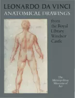 Anatomical Drawings - Da Vinci